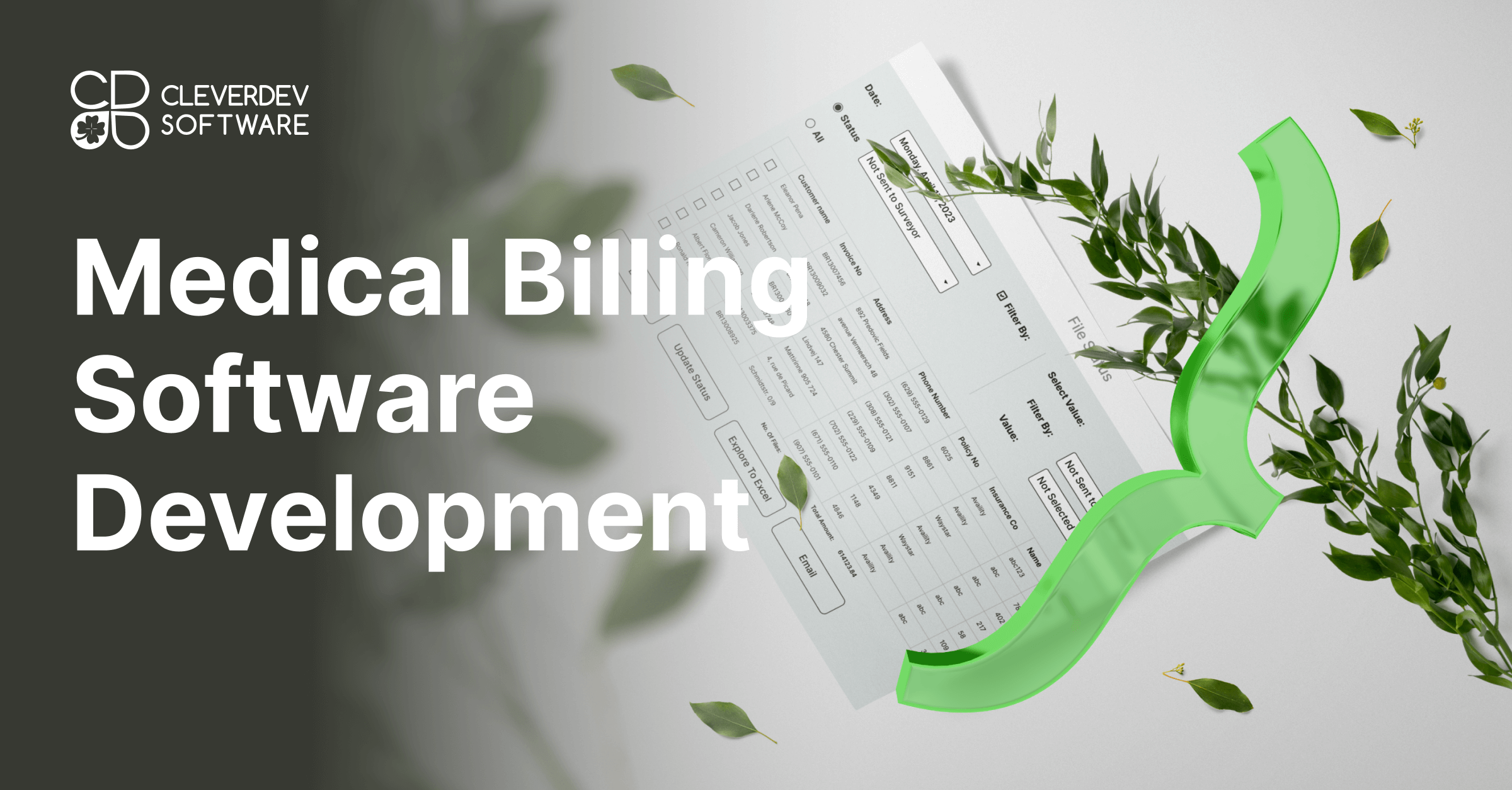 Medical Billing Software Development Company CleverDev Software
